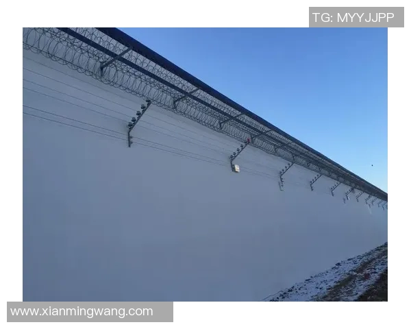 巴西劳塔罗监狱发生越狱事件,30名罪犯成功逃脱:探究背后的深层原因 巴西劳塔罗监狱发生越狱事件,30名罪犯成功逃脱:探究背后的深层原因